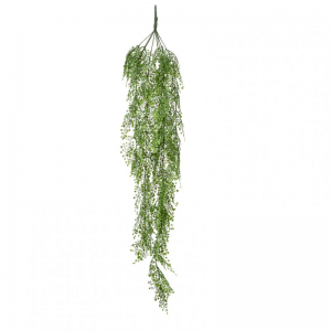ADIANTHUM CADENTE 105CM CD *