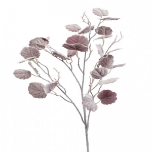 CISSUS RAMO H108 CM FN
