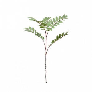 MAHONIA X5 H105CM MA *