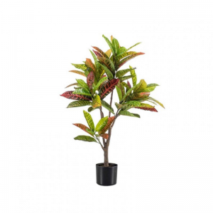 PIANTA CROTON 95 cm PN *