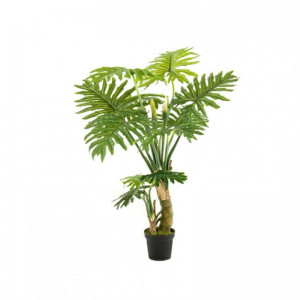 PIANTA PHILODENDRON H130CM PN *