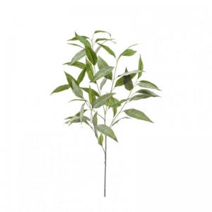 EUCALYPTO X5 H93CM EU *