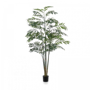 PIANTA BAMBOO H225CM PN *