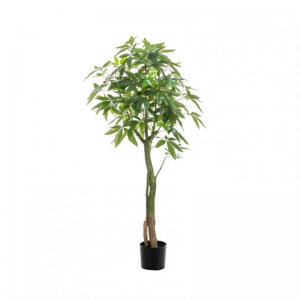 PIANTA PACHIRA 150 cm PN *