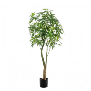PIANTA PACHIRA 180 cm PN *