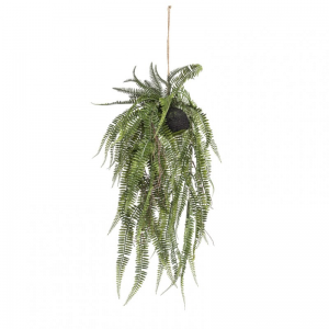 PIANTA FELCE SU SFERA DA APP. H70 cm PN*