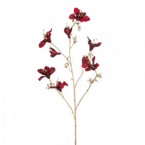 BAUHINIA H115 cm FN - dark red