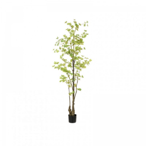 PIANTA NASTURZIO H210 cm PN *