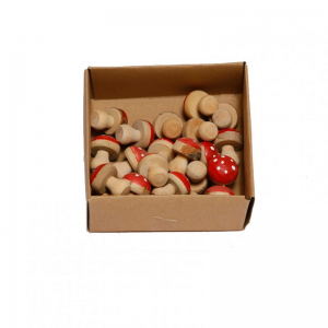 BOX FUNGHETTI PZ 24 H 2,5 CM