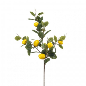 LIMONE RAMO X6 H95 LI *