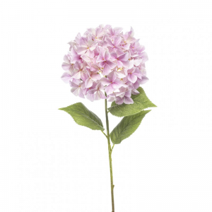 ORTENSIA H90cm OR - pink*