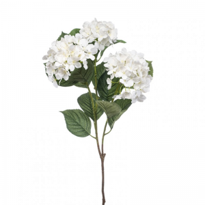 ORTENSIA X3 H100cm OR - white*