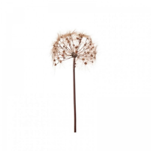 SOFFIONE ramo H91 SO - brown *