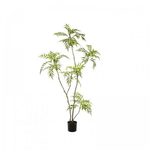 PIANTA MAHONIA H180 PN - green *