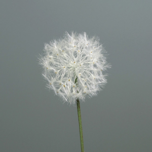 SOFFIONE 88cm bianco SO *