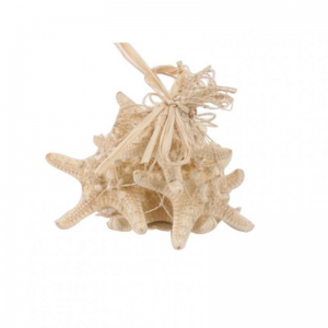 STELLE MARINE 9/10cm 5 pz