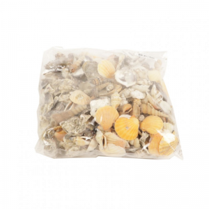 CONCHIGLIE MIX KG 2
