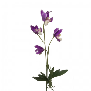 ORCHIDEA JUNGLE H75 cm OR - violet *
