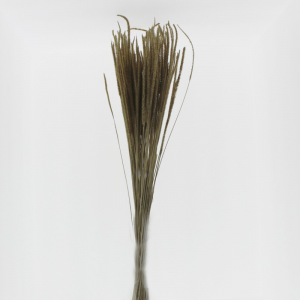 FLEO SELVATICO NATURALE 150GR H55-oro