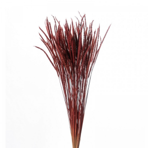 LAGURUS JAP ESSICCATO 150GR - bordeaux