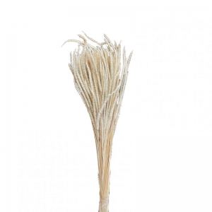LAGURUS JAP ESSICCATO 150GR - bianco