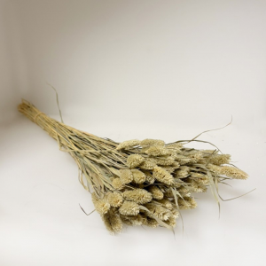 POA OL MAZZO H75 CM- verde