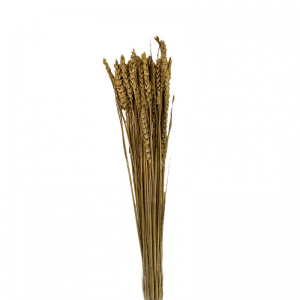 GRANETTO TARWE ORO h 65 cm