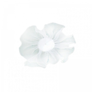 SOTTOMAZZO SPOSA SINGOLO