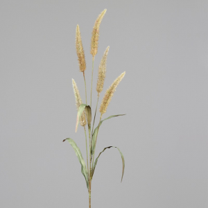 RAMO ERBA H136 cm ER - honey *