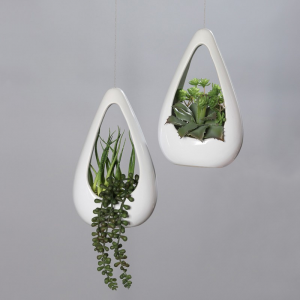 SUCCULENT C/VASO DA APP.22cm PG *