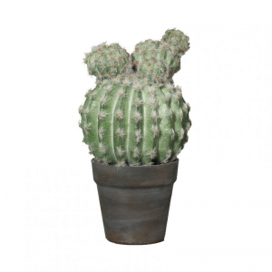 PIANTA CACTUS C/VASO 33cm PN *