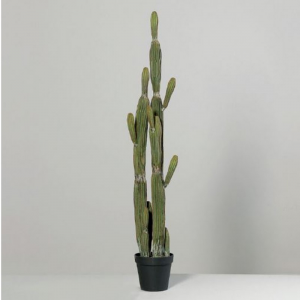 PIANTA CACTUS C/VASO H152 PN