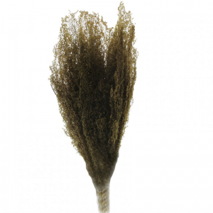 BRIZZONE ESSICCATO 300GR H75 CM -natural