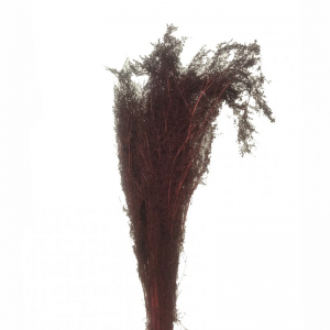 BRIZZONE ESSICCATO 300GR H75 CM -bordeau
