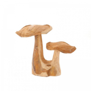 FUNGO TEAK 35X22 H29