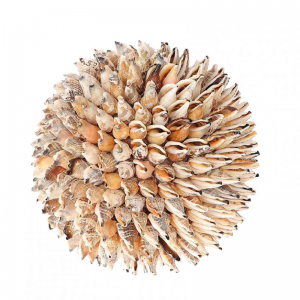 SFERA CONCHIGLIE STROMBUS D20 CM