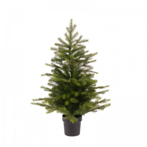 ALBERO GRANDIS C/VASO H75 cm - 191 TIPS