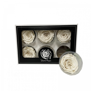 ROSA STABILIZZATA D6 BOX 6pz-white