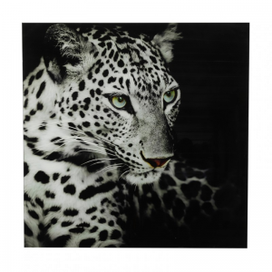 STAMPA SU VETRO LEOPARDO 80X80 cm