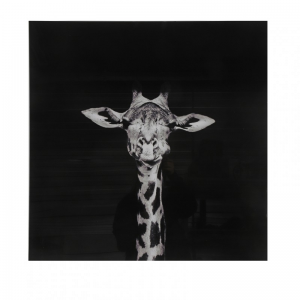 STAMPA SU VETRO GIRAFFA 80X80 cm