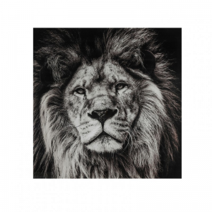 STAMPA SU VETRO LEONE 80X80 cm