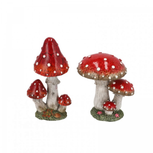 FUNGO BOLETUS 8X8 H9cm - 2 ass.