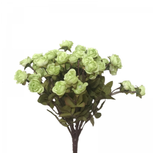 ROSE PEARL BUSH X18 H38 BU -light green*