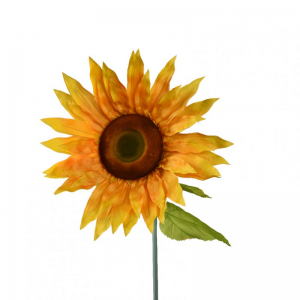 GIRASOLE GIGANTE D45 H110 - yellow