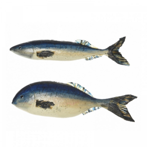 PESCE FOAM 2 MOD.