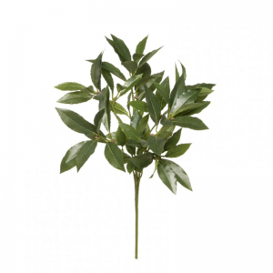 ALLORO FOGLIA X74 H45 AL - green *