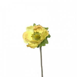 ANEMONE X1 H35 cm AN -giallo *