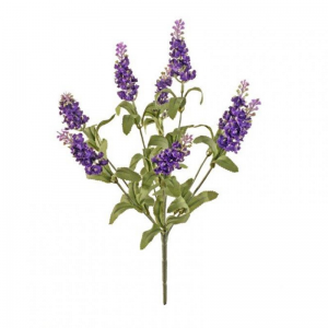 LAVANDA BUSH H33 cm LA - purple*