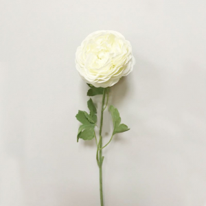 RANUNCOLO SPRAY H63cm RA -white *