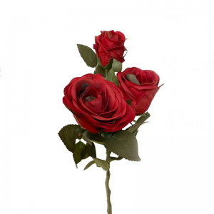 ROSA CABBAGE X 3 H65 CM RO - rosso *